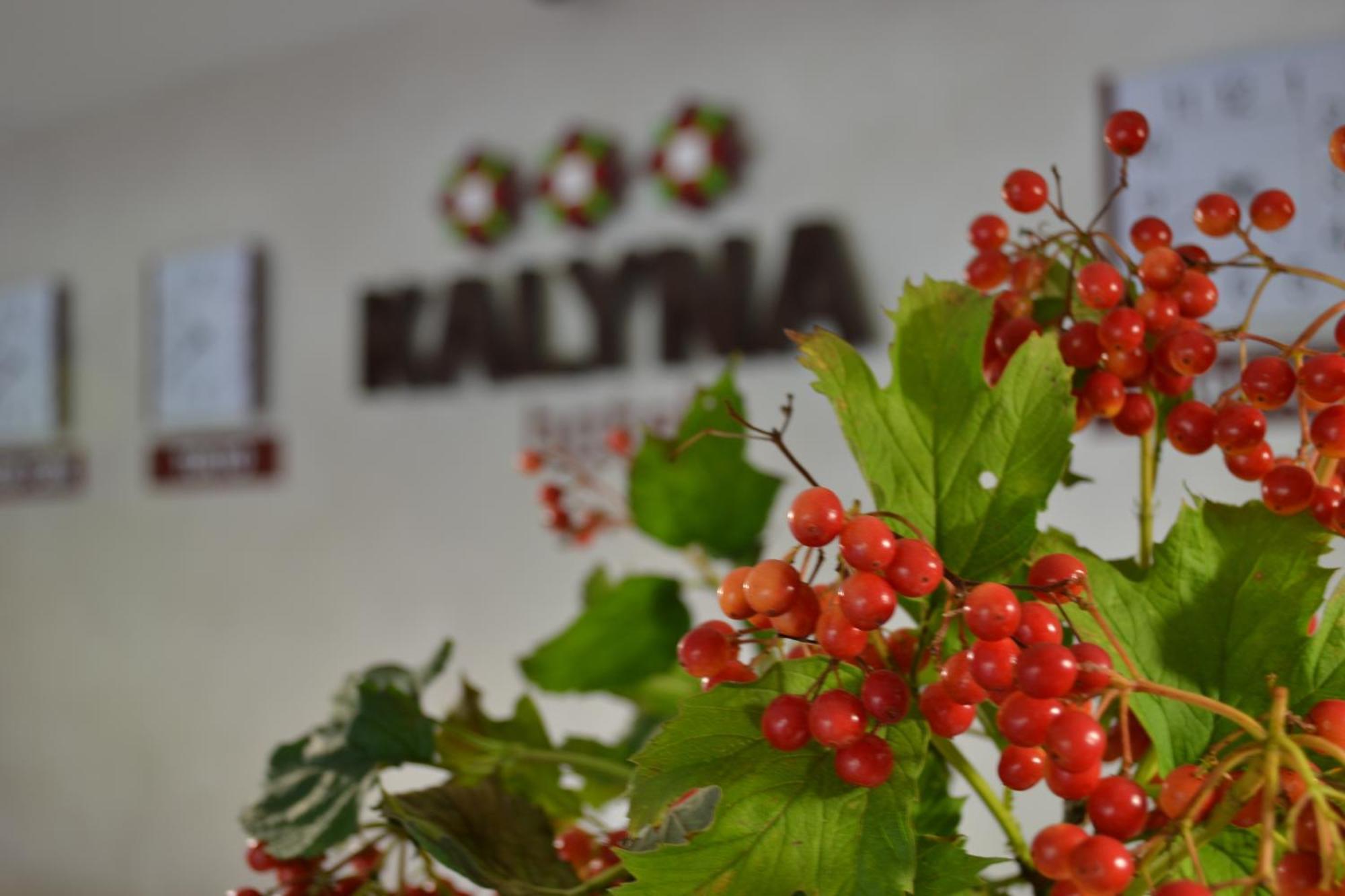 Hotel Kalyna Carcóvia Exterior foto